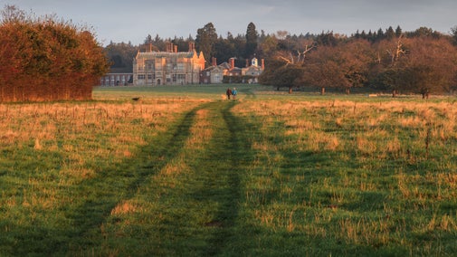 Felbrigg Autumn